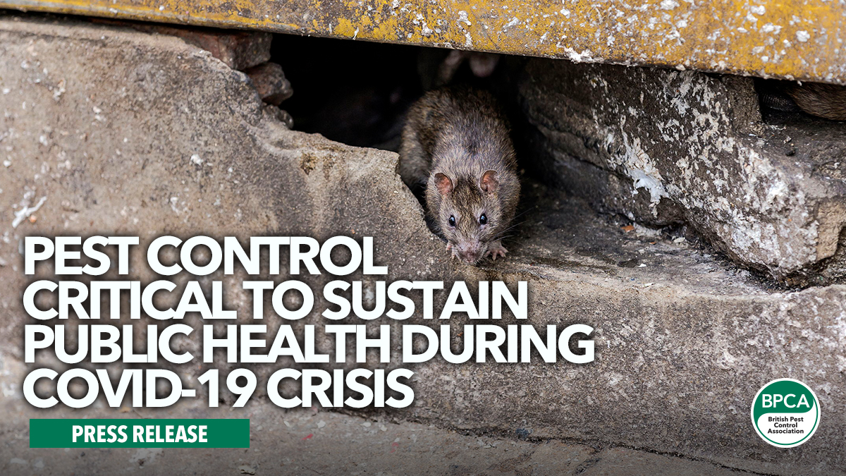 Pest control critical to sustain public health during Covid-19 crisis Pest control critical to sustain public health during Covid-19 crisis